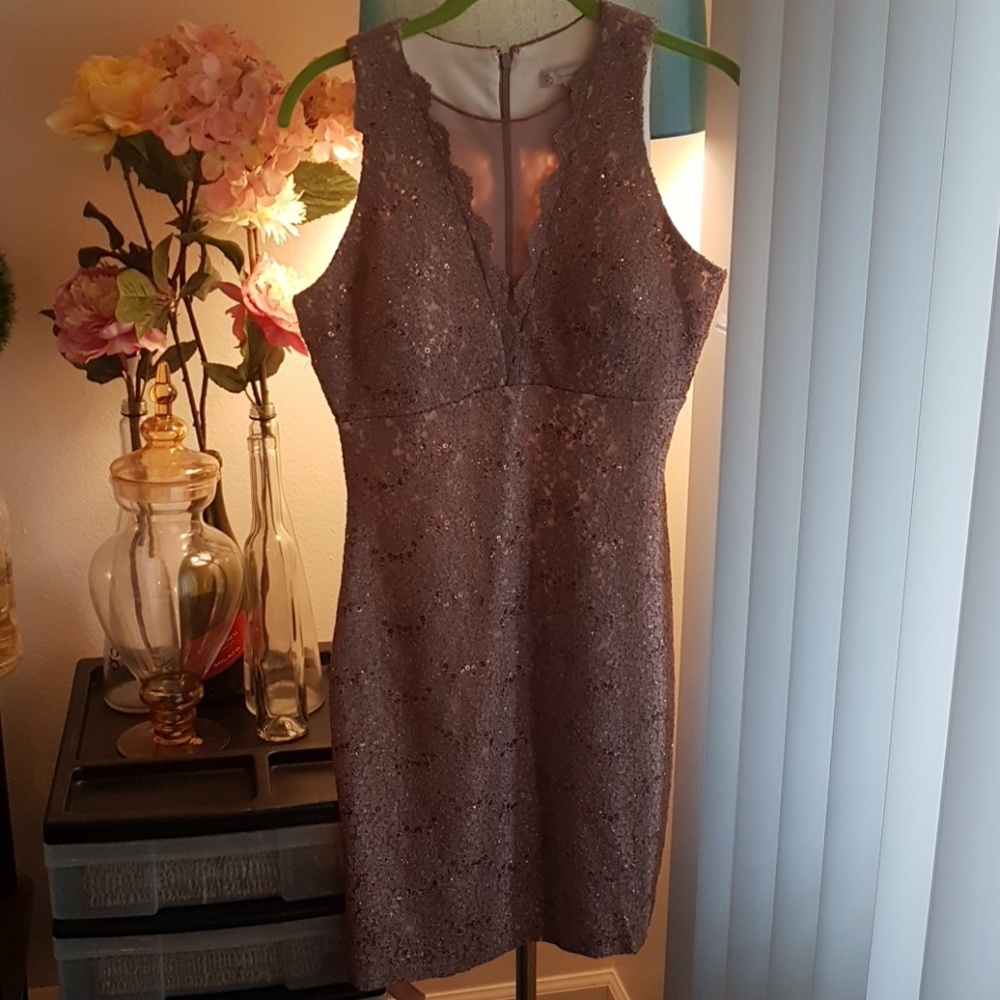 Shimmery Lace Cocktail Dress NWT